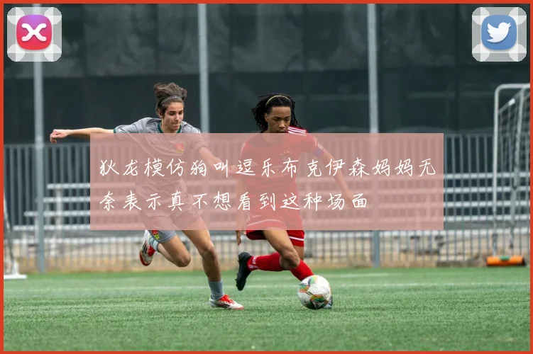 狄龙模仿狗叫逗乐布克伊森妈妈无奈表示真不想看到这种场面